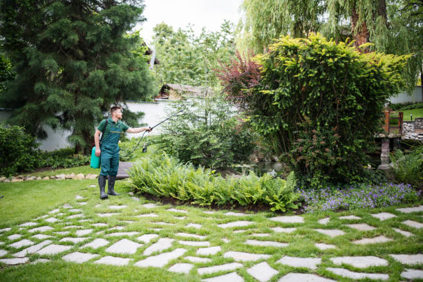 Best Best Pest Control Companies  in Fletcher, NC