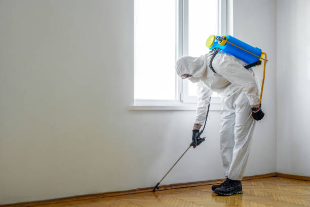 Best Cockroach Control Services  in Fletcher, NC