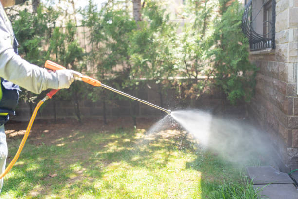 Best Emergency Pest Control  in Fletcher, NC