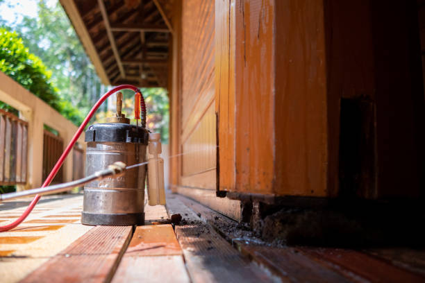 Best Pest Control for Businesses  in Fletcher, NC