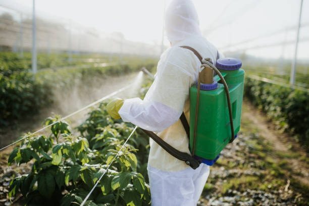 Best Pest Prevention Services  in Fletcher, NC